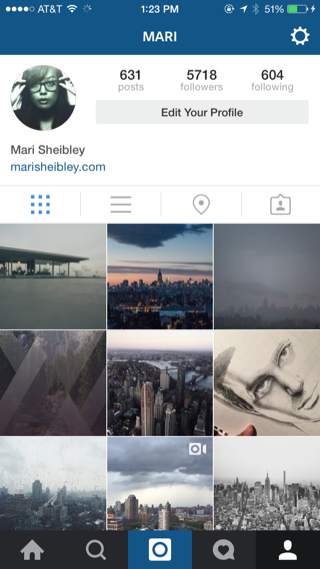Instagram iPhone user profiles, photo gallery, grid screenshot